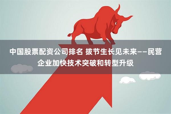 中国股票配资公司排名 拔节生长见未来——民营企业加快技术突破和转型升级