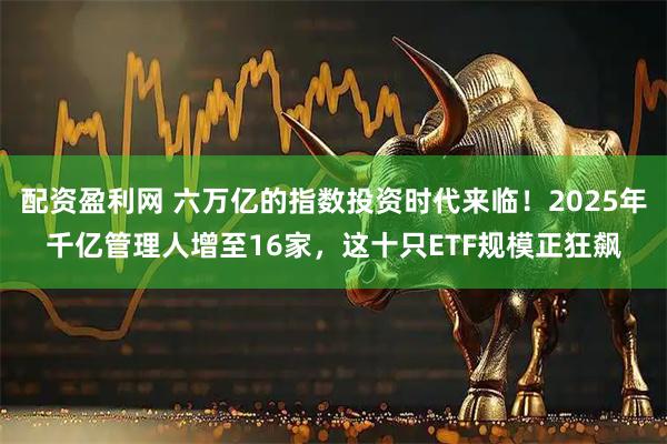 配资盈利网 六万亿的指数投资时代来临！2025年千亿管理人增至16家，这十只ETF规模正狂飙